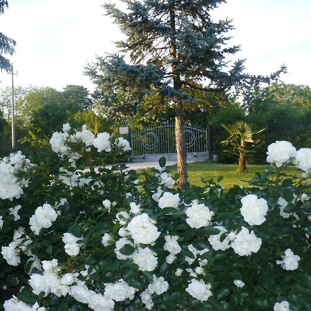 L'Albero Della Gioia Panzió Villanova sull'Arda Kültér fotó